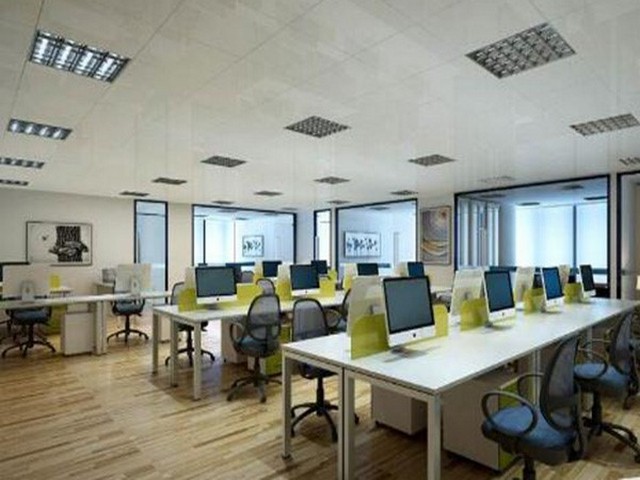 西安3公分梨树苗